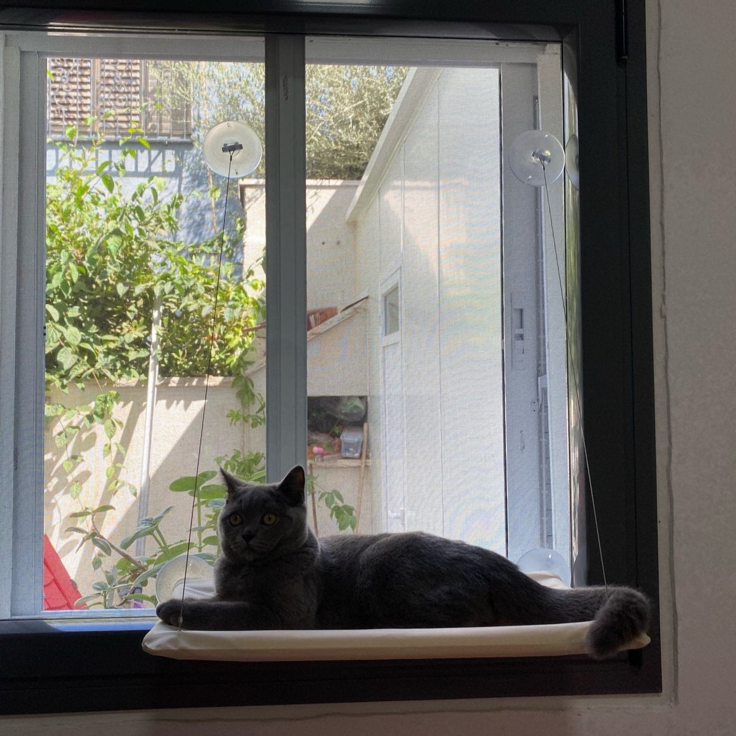 Cama suspensa para gato