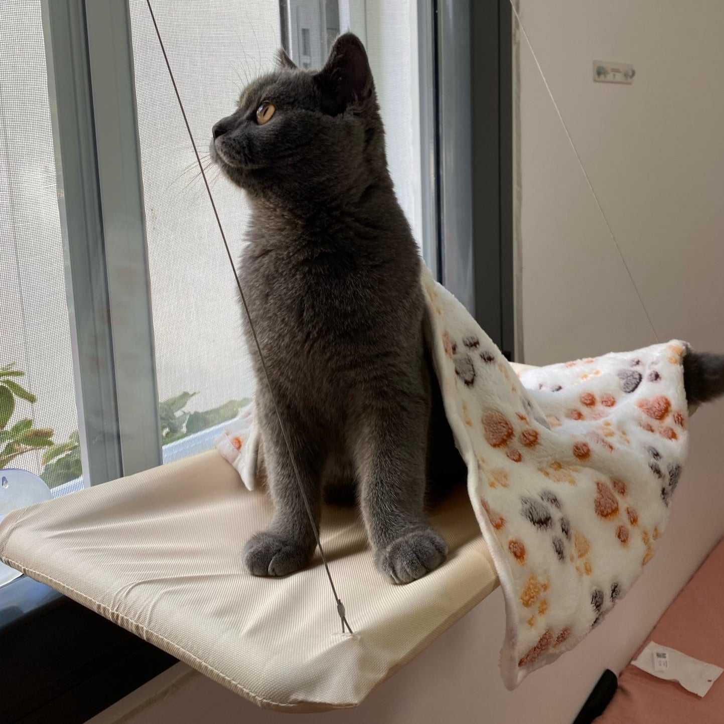 Cama suspensa para gato