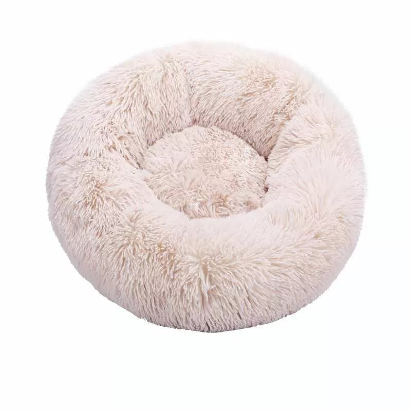 pet bed