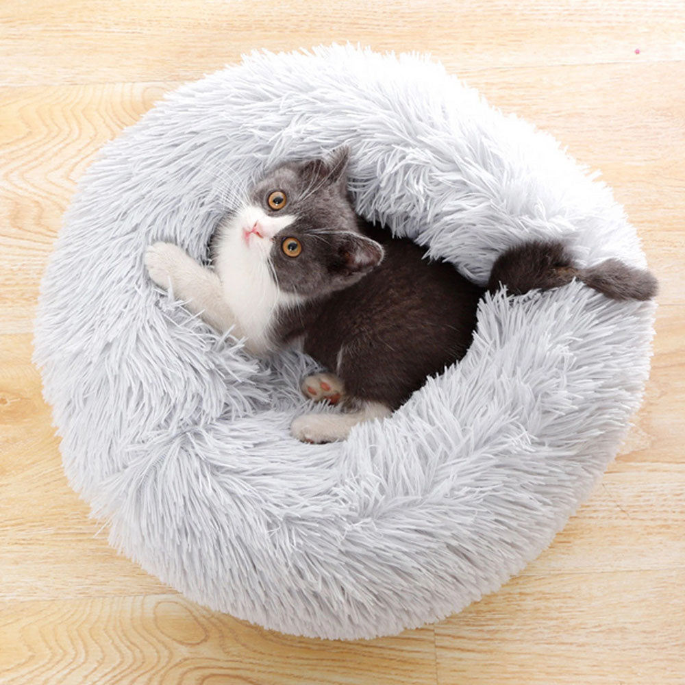 pet bed