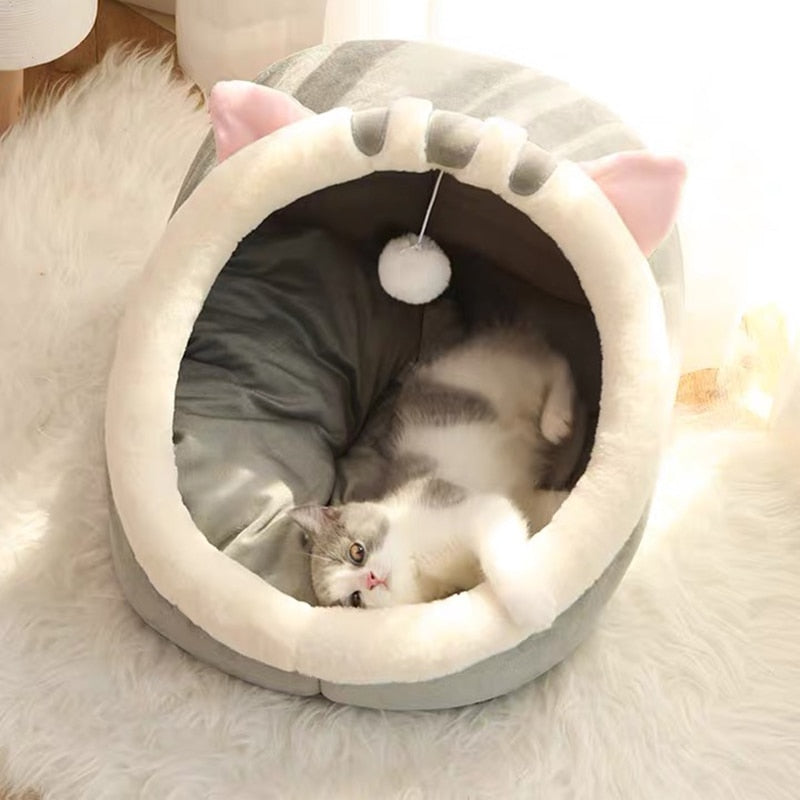 Cama Divertida para Gatos