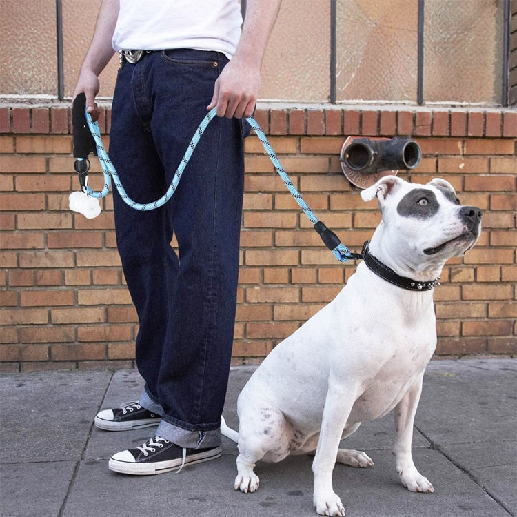 reflective leash for dogs