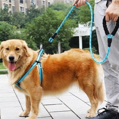reflective leash for dogs