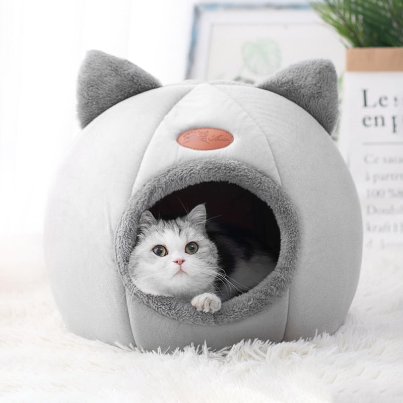 cat house