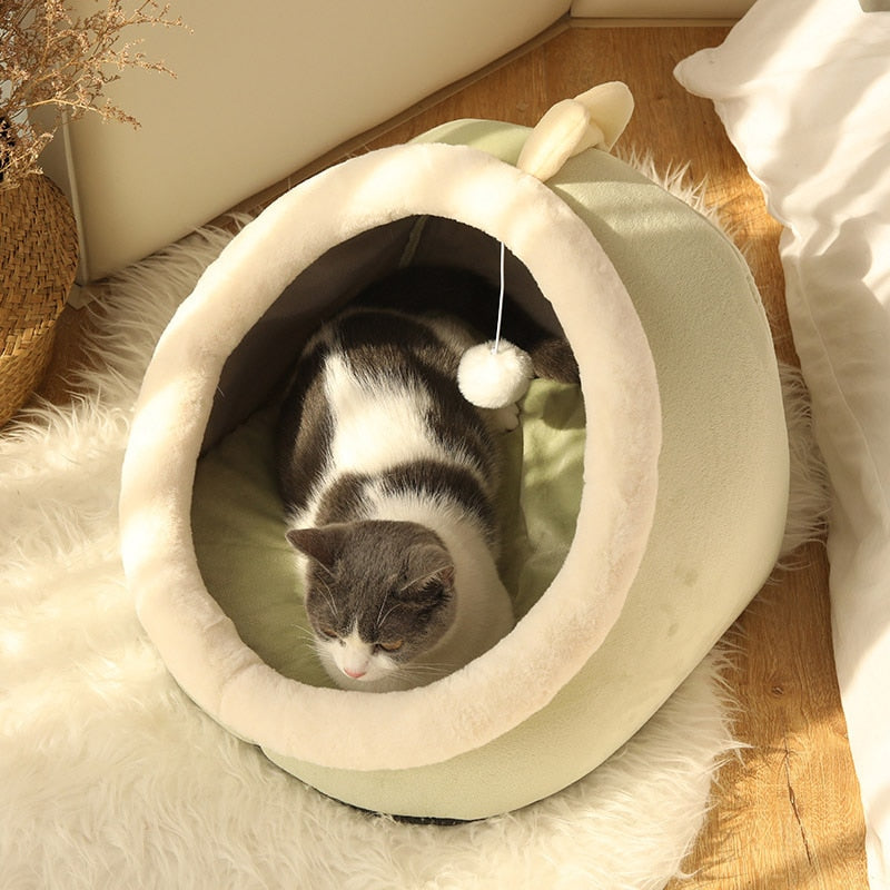 Cama Divertida para Gatos