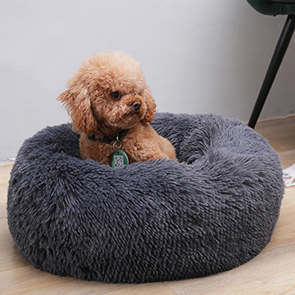 pet bed