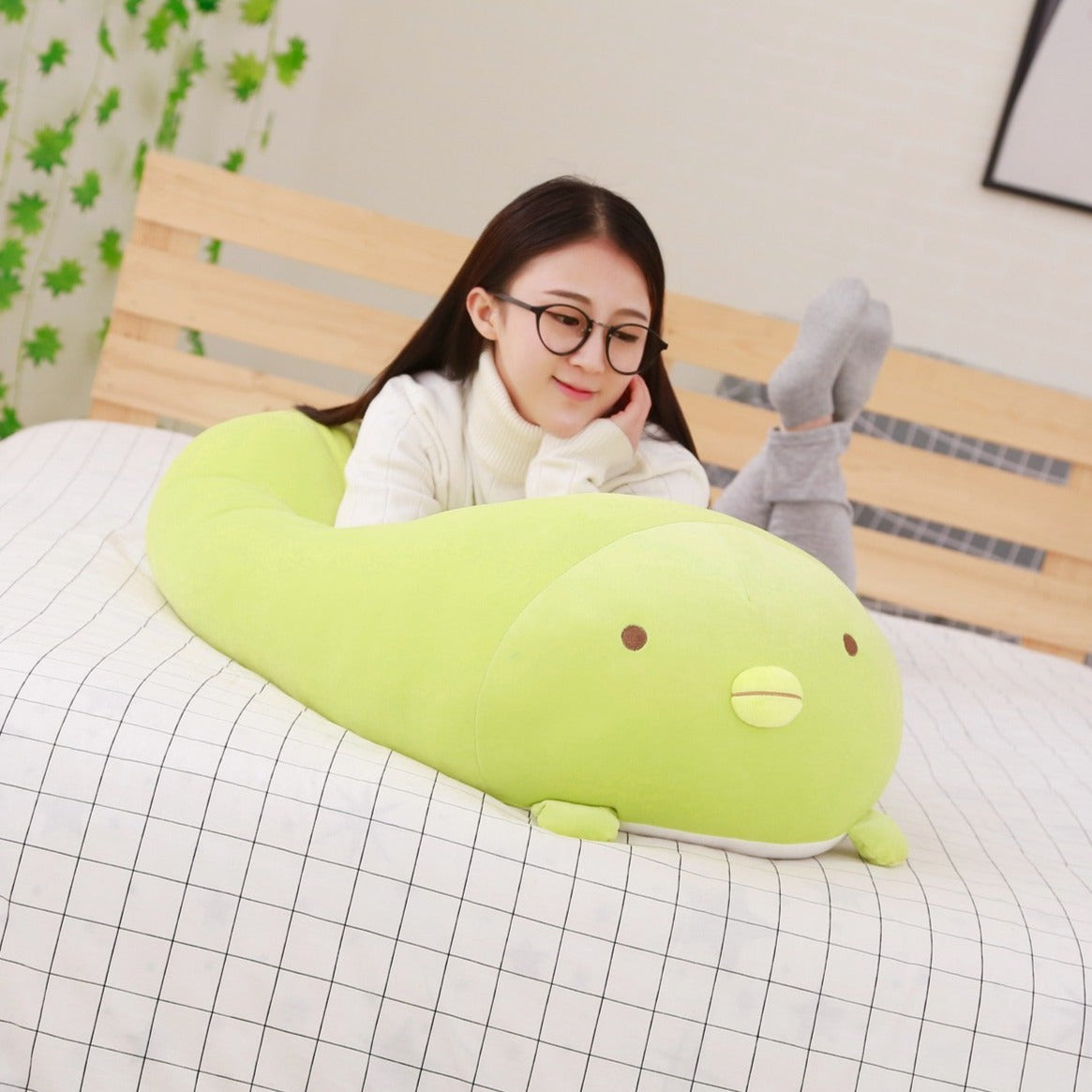 Pet Pillows