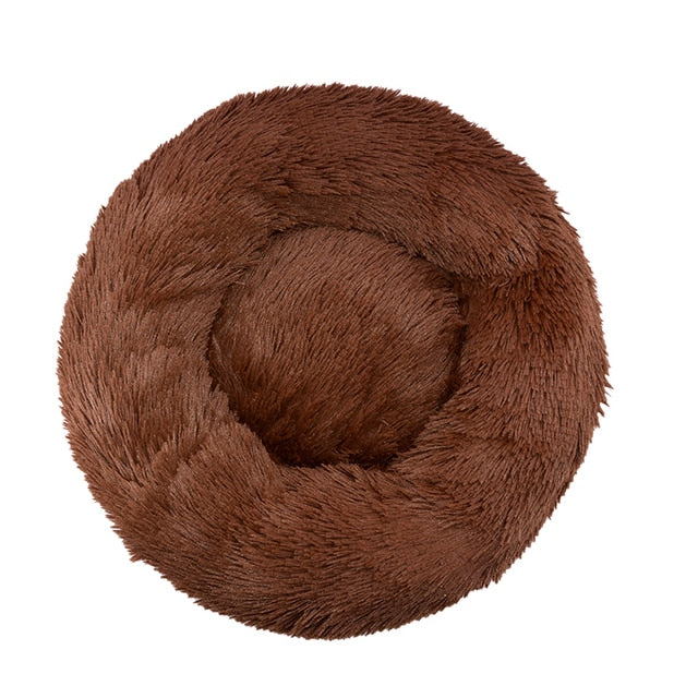 pet bed