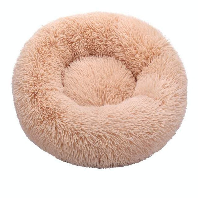 pet bed