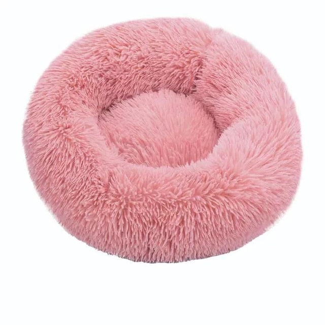 pet bed