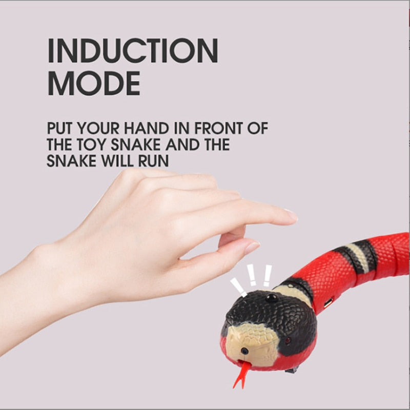 Automatic Interactive Toy for Cats