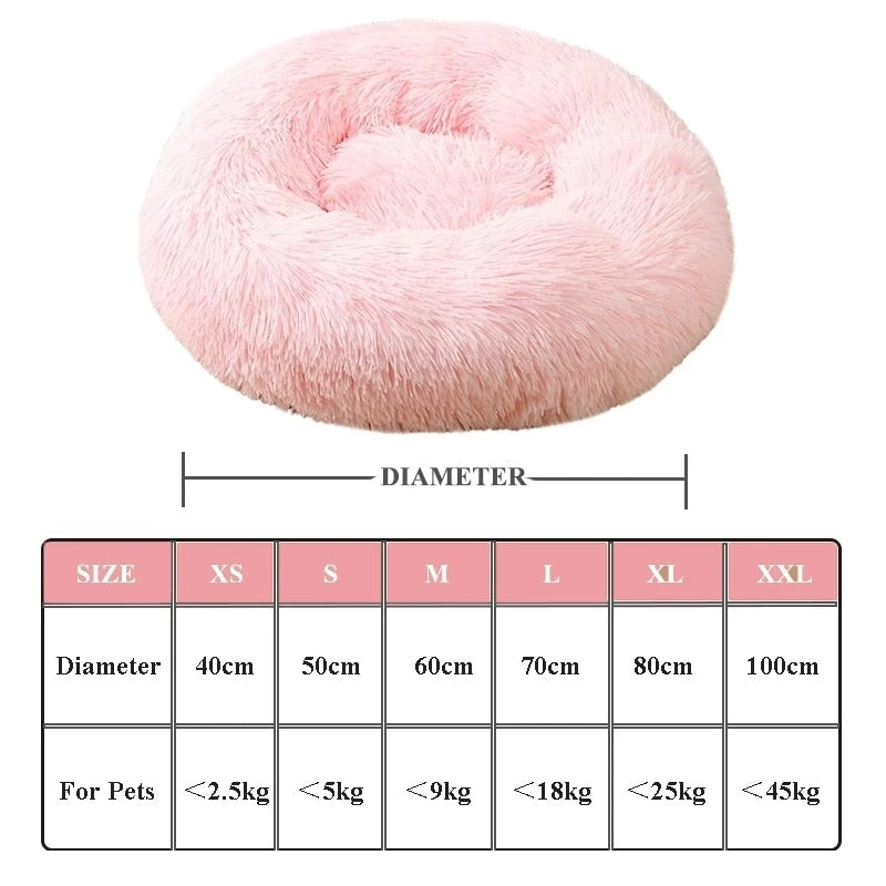 pet bed