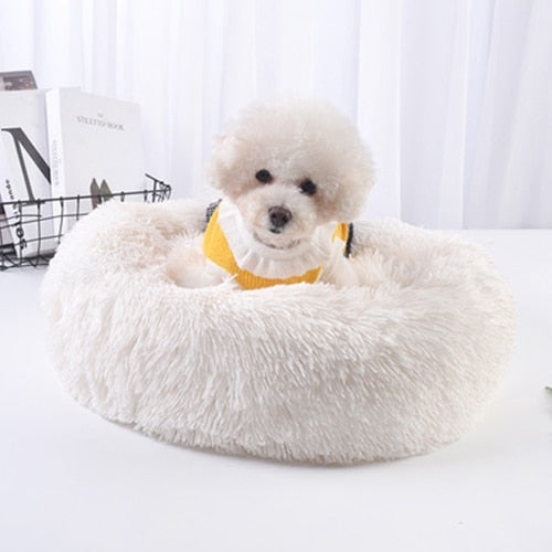 pet bed