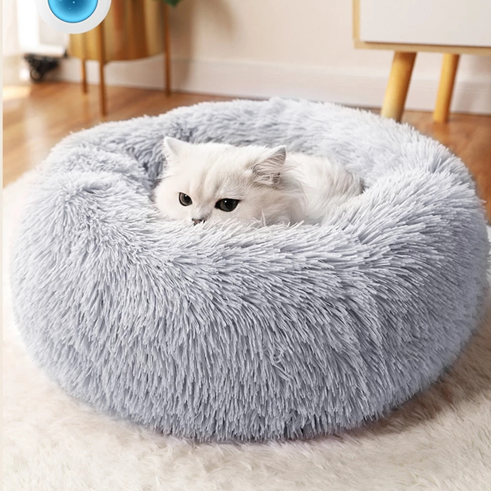 pet bed