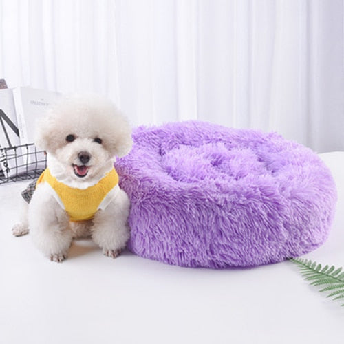 pet bed