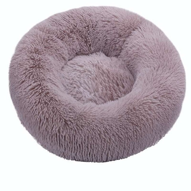 pet bed