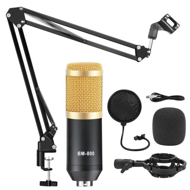 Professional Studio Microphone