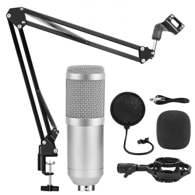 Professional Studio Microphone