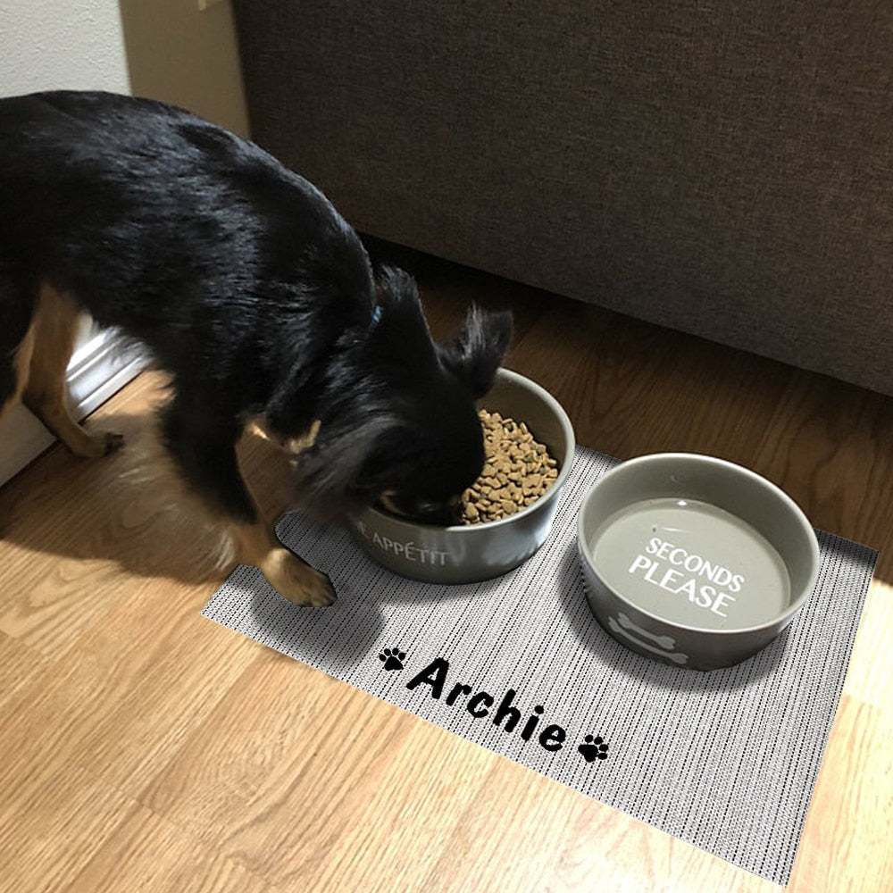 Pet feeding mat