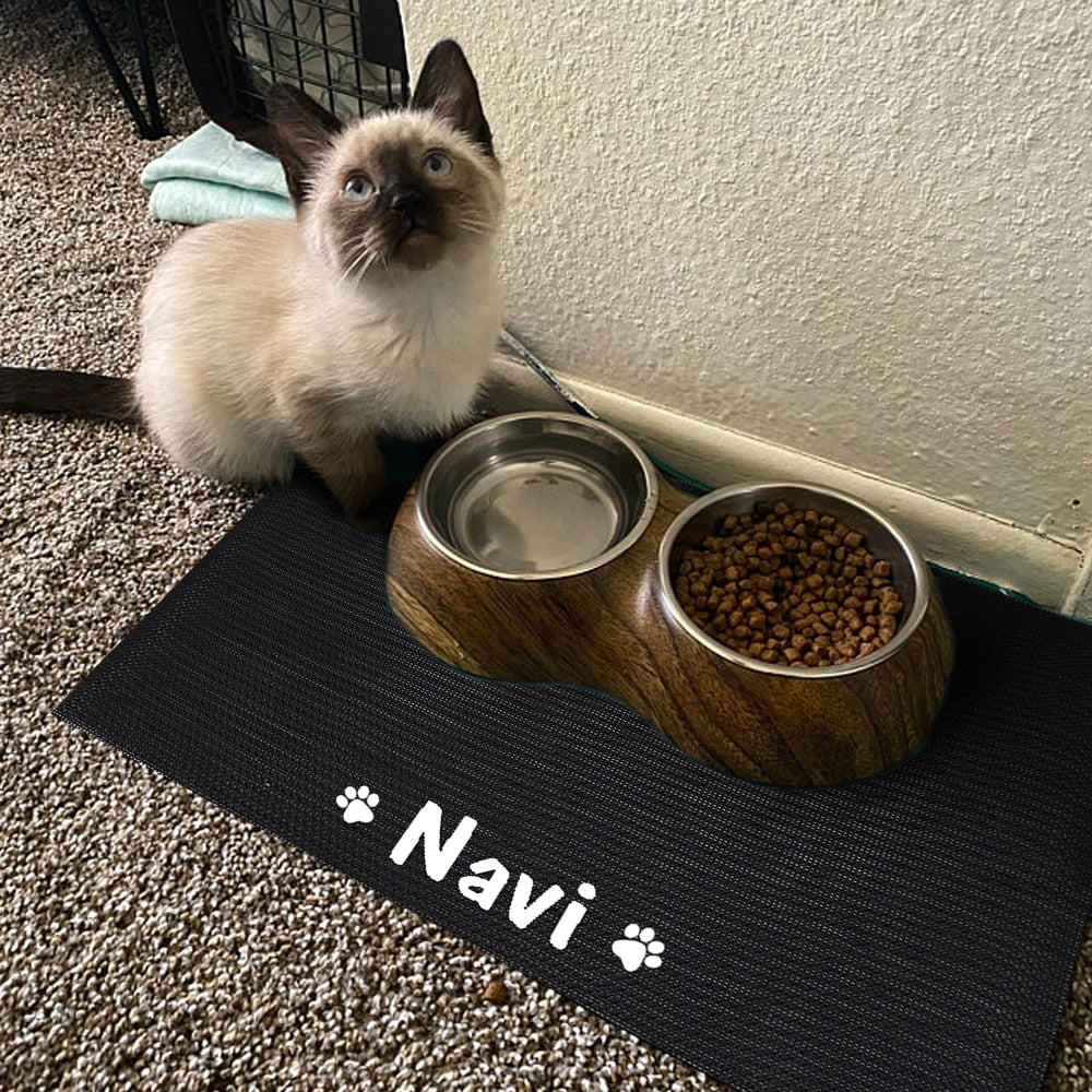 Pet feeding mat