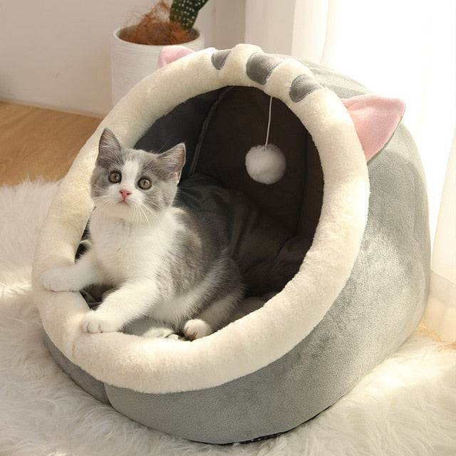 Caminha Pet para Gatos