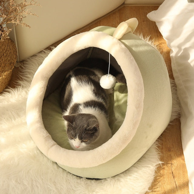 Caminha Pet para Gatos