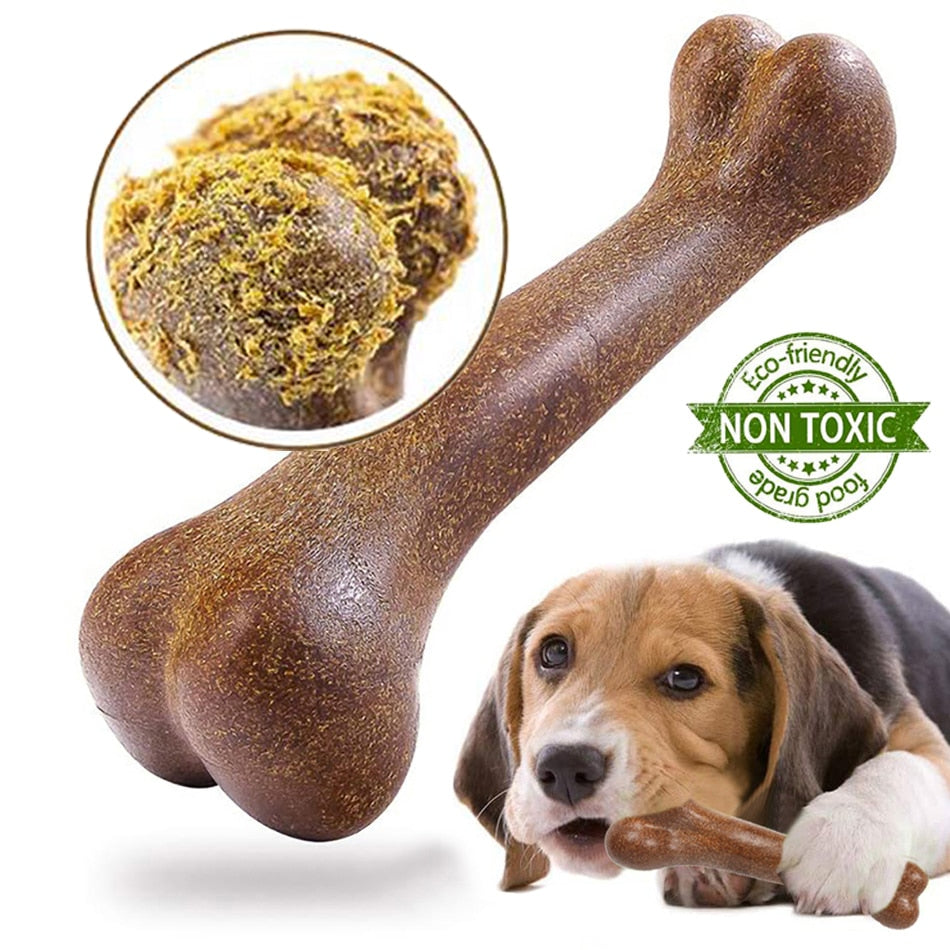 bone to chew
