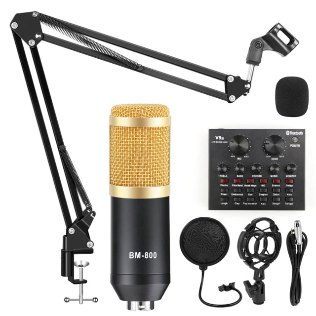 Professional Studio Microphone