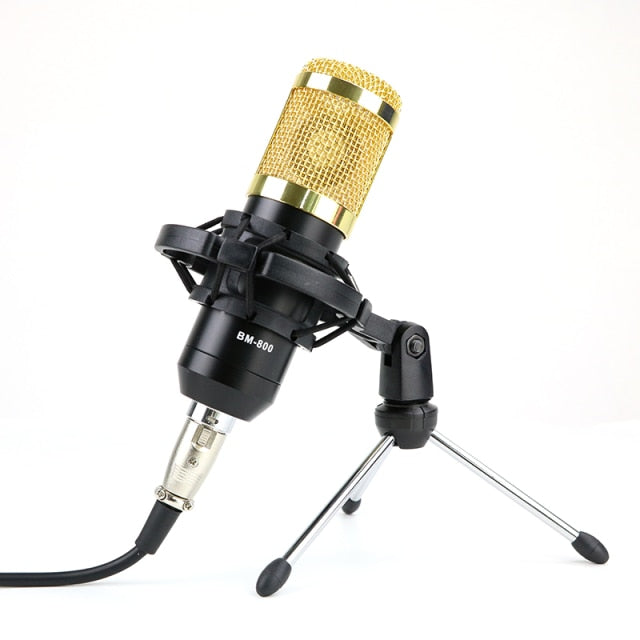 Professional Studio Microphone