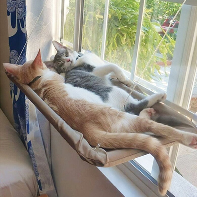 Cama suspensa para gato