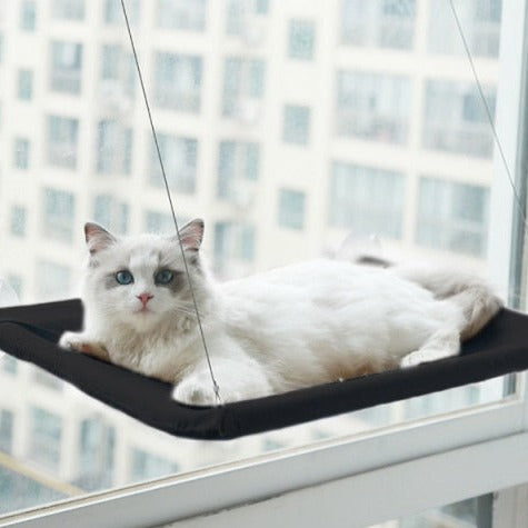 Cama suspensa para gato