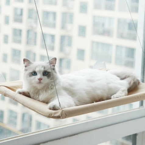 Cama suspensa para gato