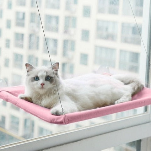 Cama suspensa para gato