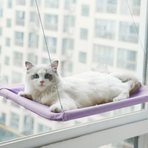 Cama suspensa para gato