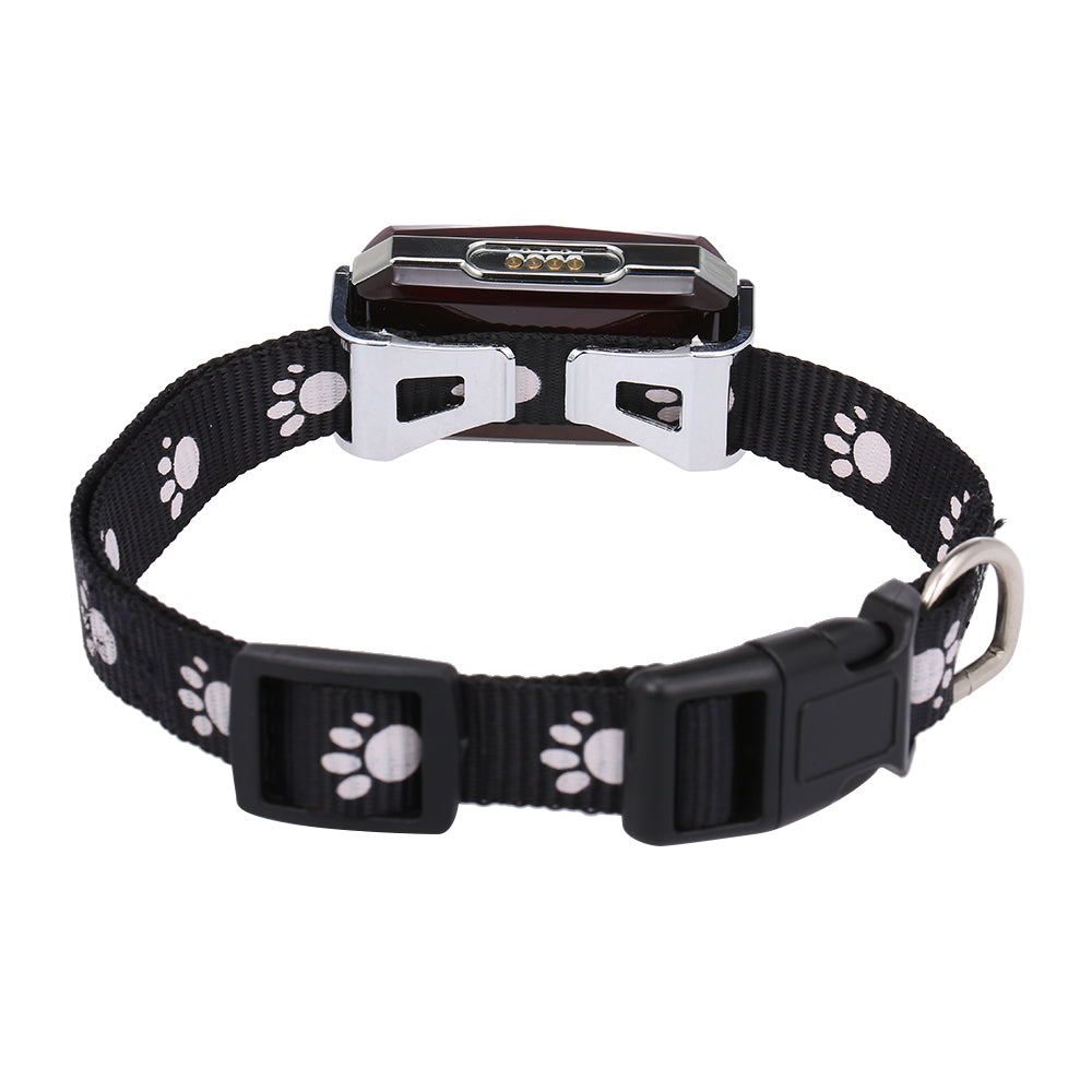 Collar with GPS