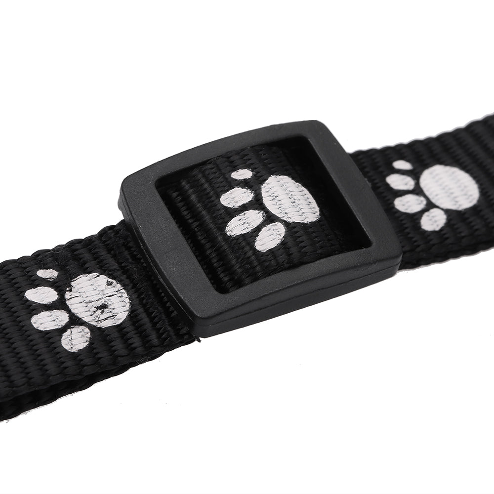 Collar with GPS