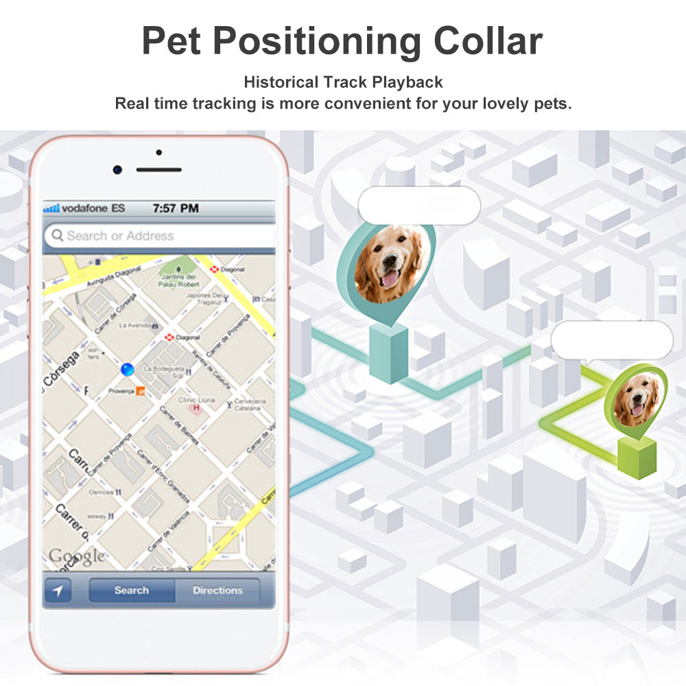 Collar with GPS
