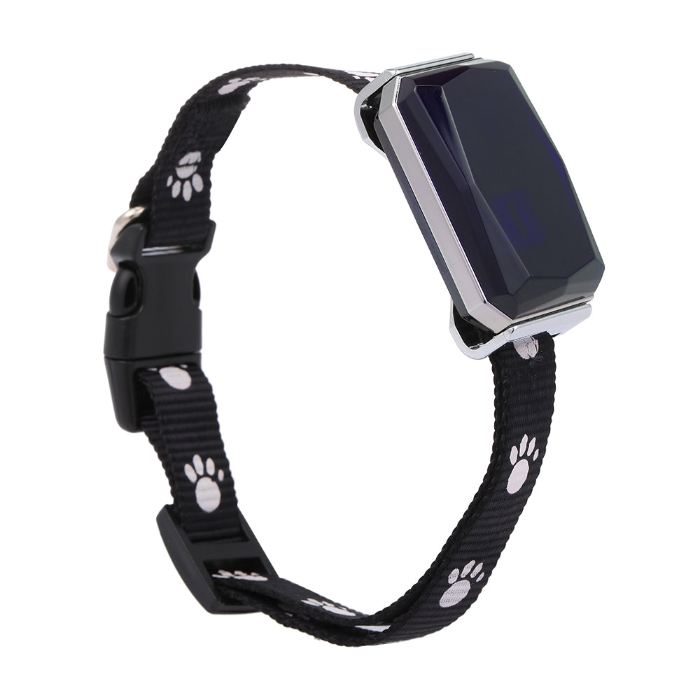 Collar with GPS