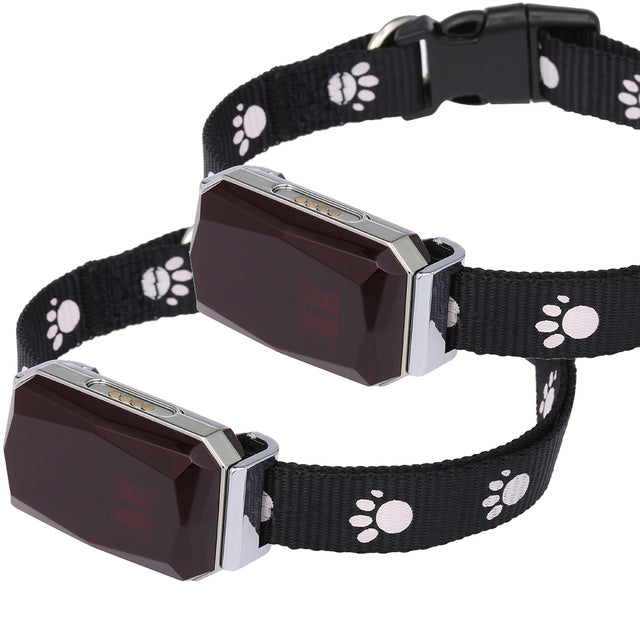 Collar with GPS