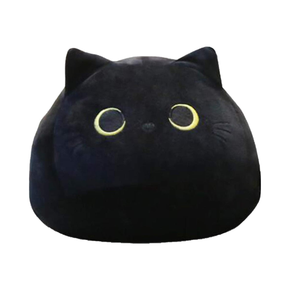 plush kitten