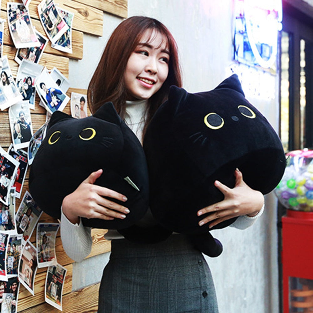 plush kitten