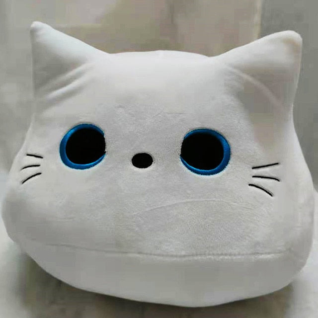plush kitten