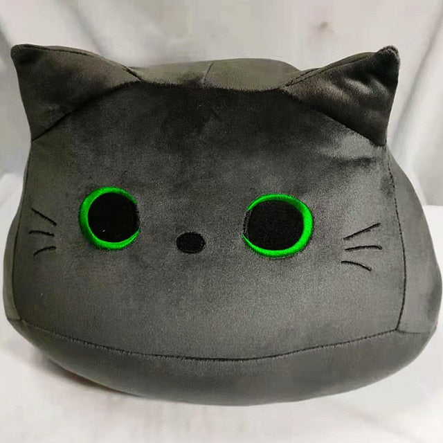 plush kitten