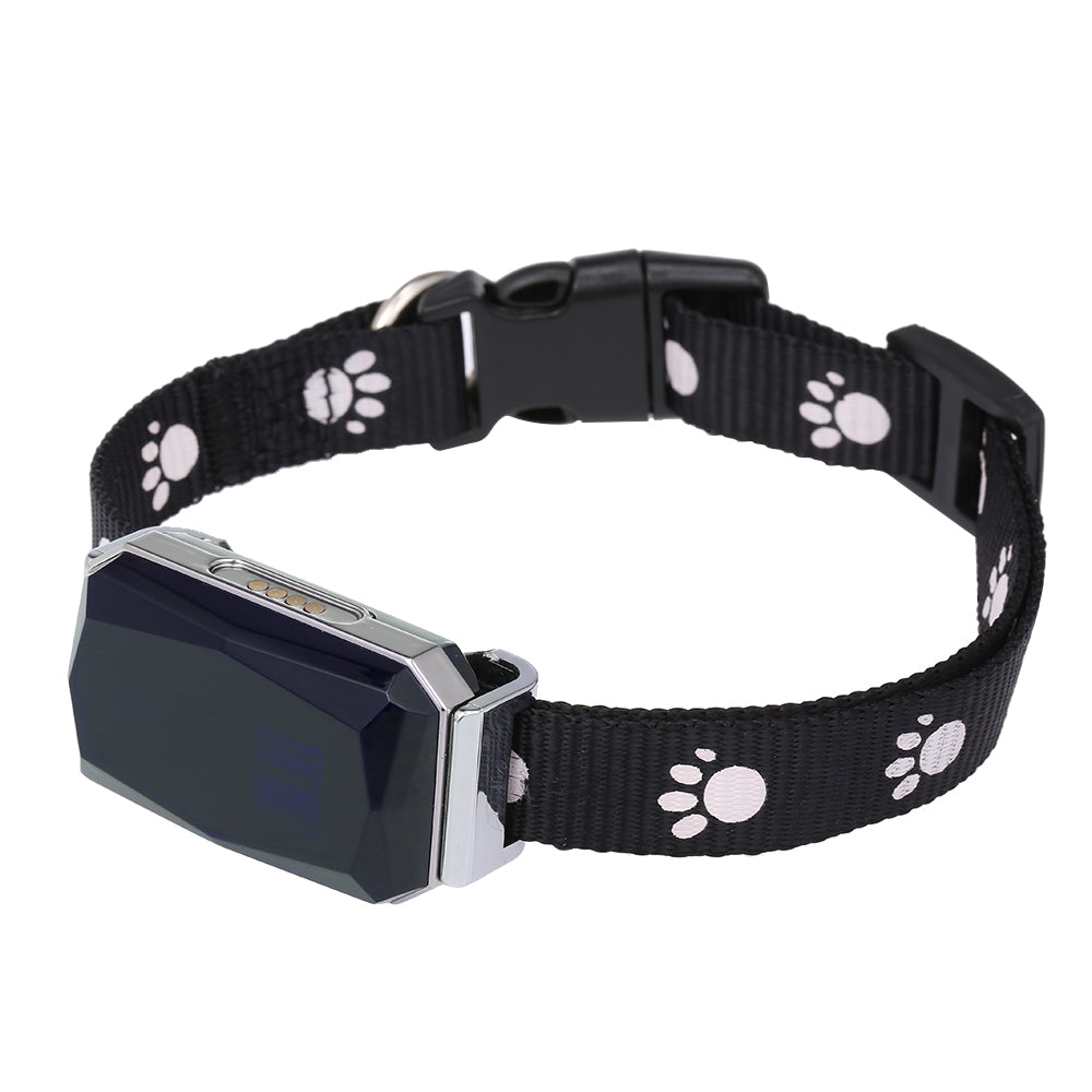 Collar with GPS