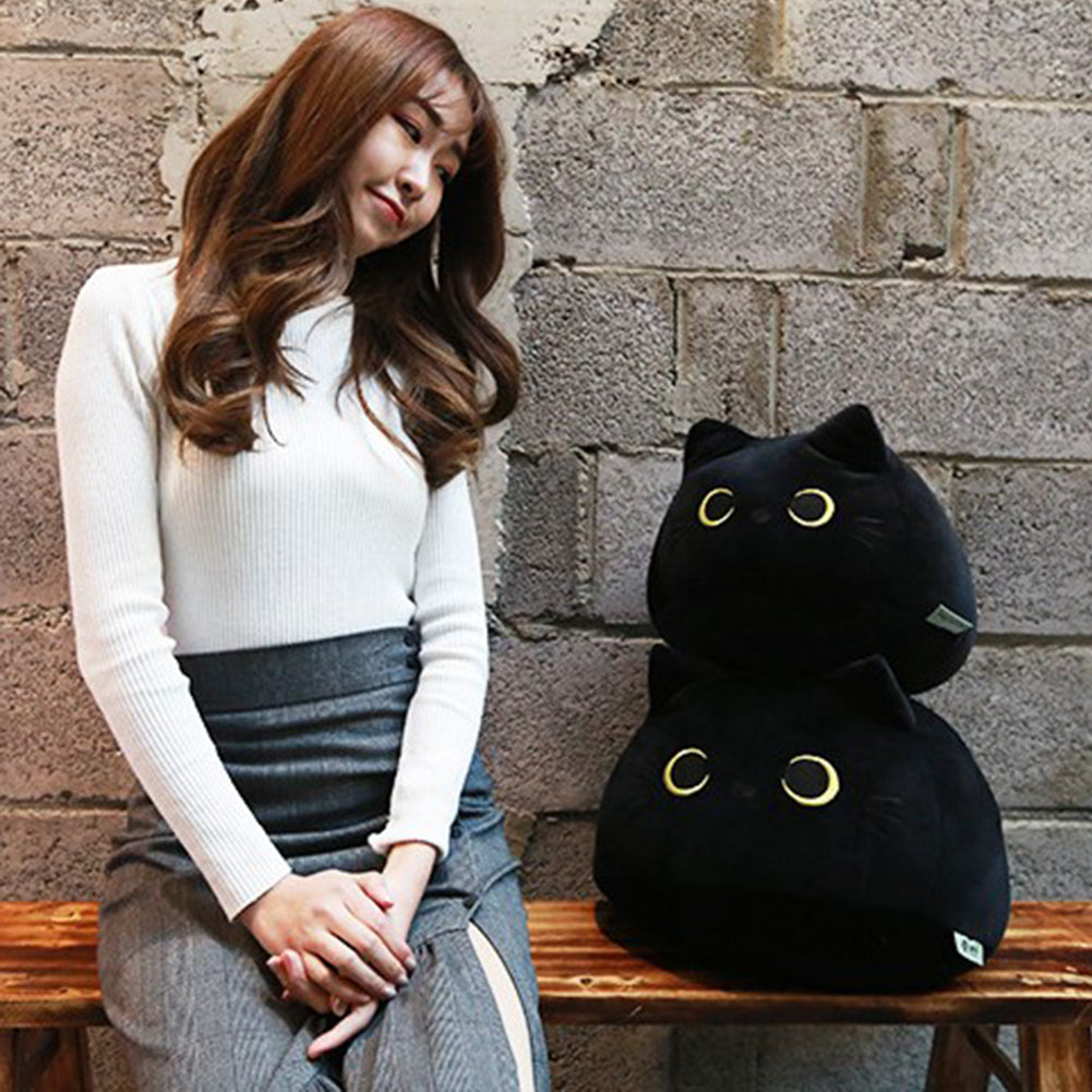 plush kitten