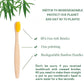 Children's toothbrush made of organic bamboo, with soft and biodegradable fibers. Product with 10 units