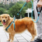 reflective leash for dogs