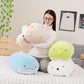 Pet Pillows