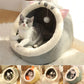 Fun Bed for Cats