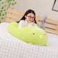 Pet Pillows